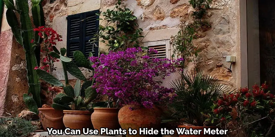 You Can Use Plants to Hide the Water Meter