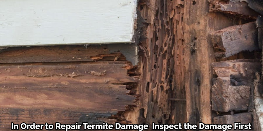 In Order to Repair Termite Damage  Inspect the Damage First
